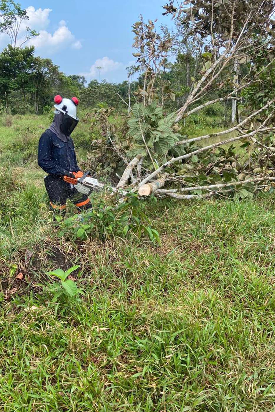 img-1-aprovechamiento-forestal-servicio-integrales-fys-putumayo-colombia