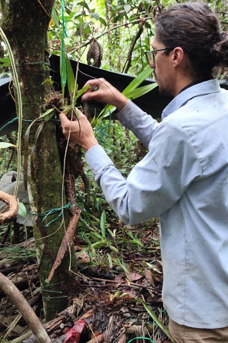 img-1-compensaciones-ambientales-servicio-integrales-fys-putumayo-colombia