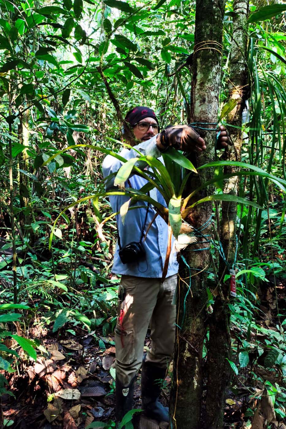 img-2-compensaciones-ambientales-servicio-integrales-fys-putumayo-colombia